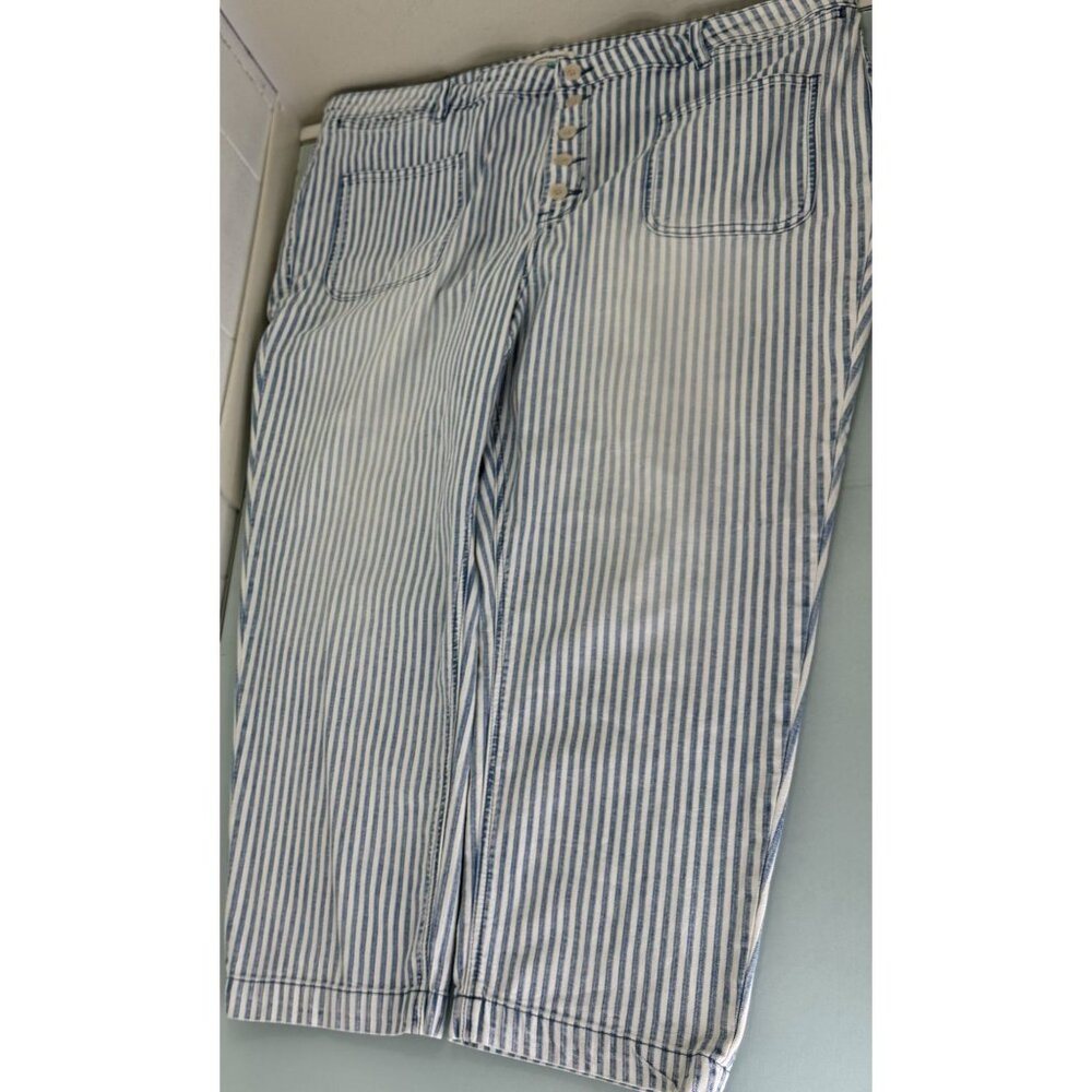 Pilcro | Anthropologie High Rise Striped Blue & White Women's Jeans